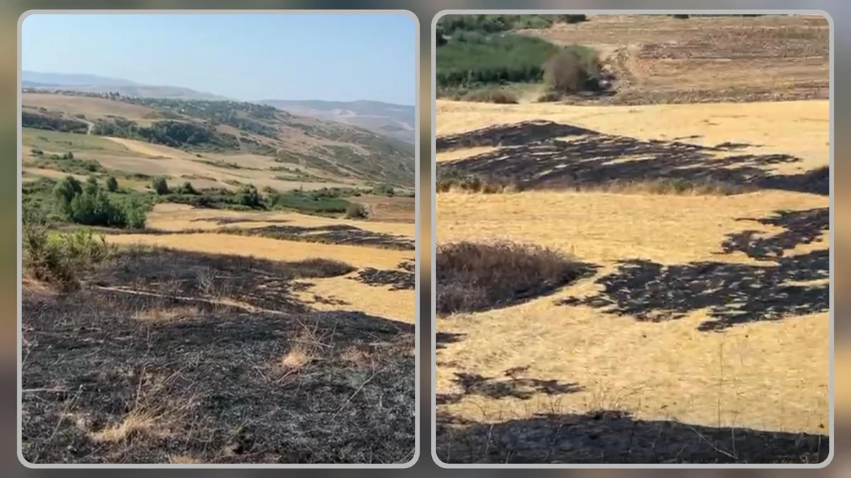 Şamaxıda yanğın törədən şəxs məsuliyyətə cəlb olunub
