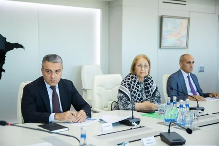 İnklüziv sosial inkişaf və sosial təminat istiqamətində görülən işlər müzakirə olunub