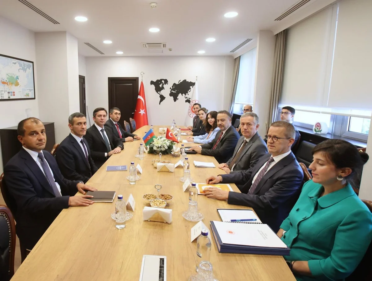 Azerbaijan and Türkiye mull regional issues