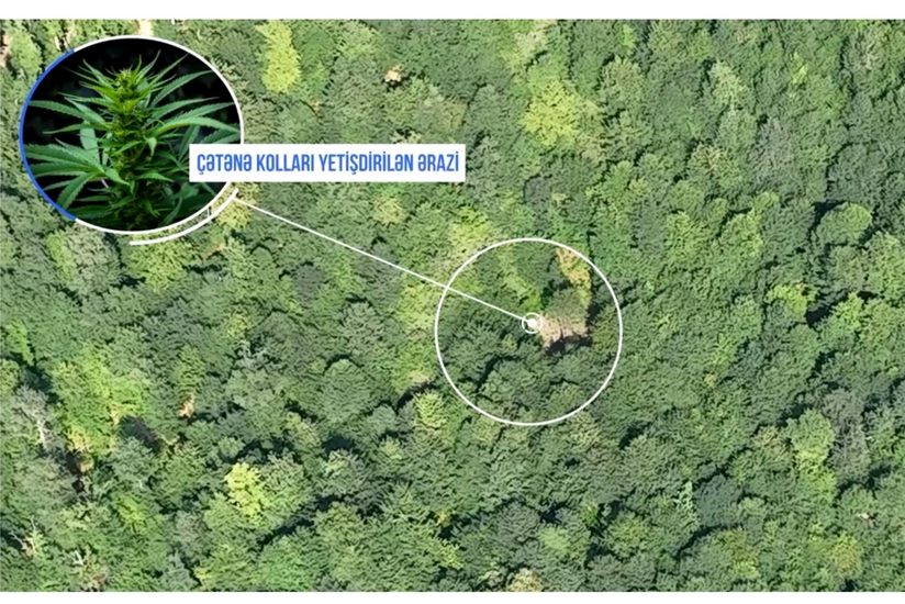 Balakəndə polis dağlarda əməliyyat keçirib, silahlı şəxslər həbs olunub