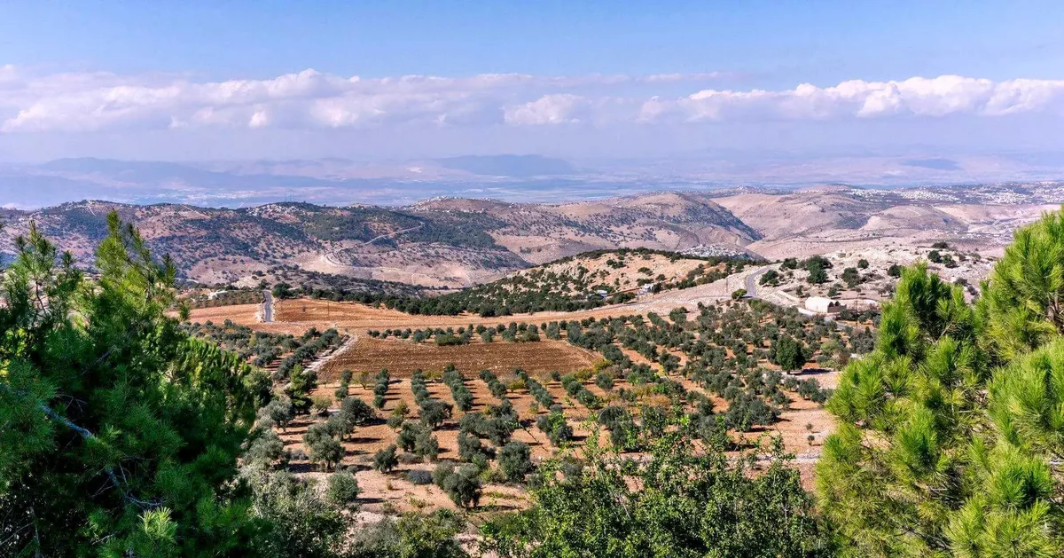 İordaniyanın sənaye sektoru iqtisadiyyatın modernləşməsini və davamlı inkişafını təmin edir