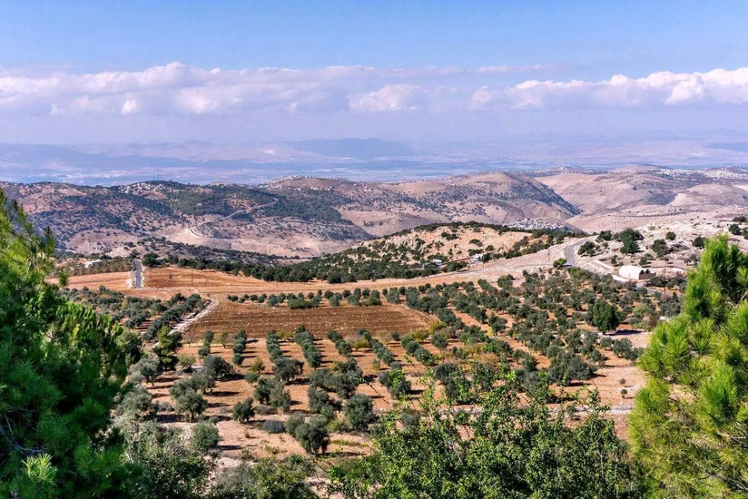 İordaniyanın sənaye sektoru iqtisadiyyatın modernləşməsini və davamlı inkişafını təmin edir