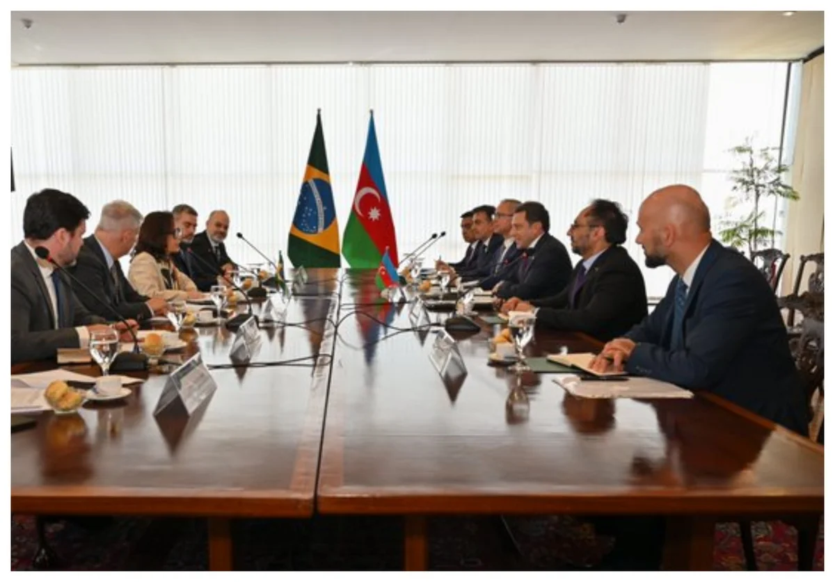 Azerbaijan, Brazil hold first meeting of Working Group on Investments