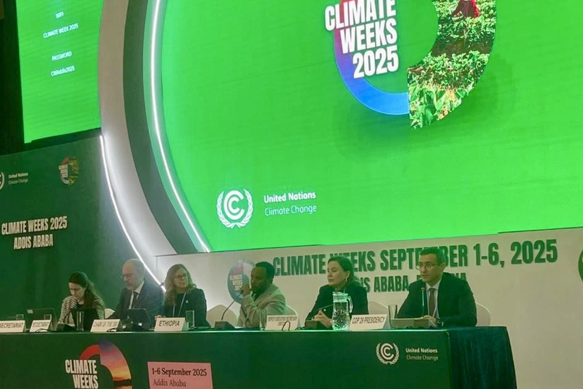 COP29 nümayəndəsi: Bakıda qəbul edilmiş tarixi qərarlar gecikmədən həyata keçirilməlidir