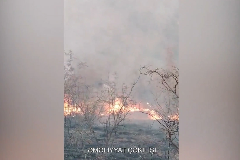 Ağdərədə dağlıq ərazidə yanğın törədən şəxslər saxlanılıb - YENİLƏNİB