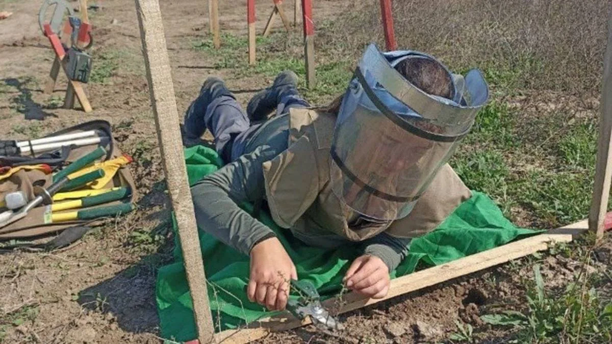 Azərbaycanda minaaxtaran qadınların sayı açıqlanıb - RƏSMİ