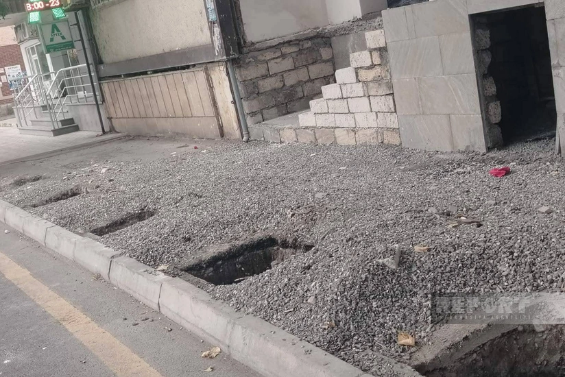 В Хачмазе расследуют незаконное уничтожение многолетних деревьев