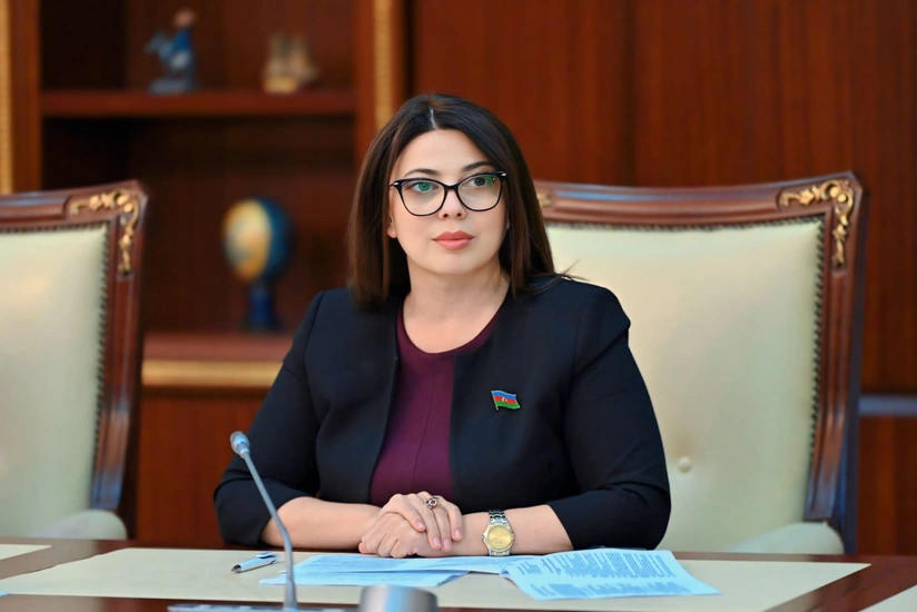 Deputat: Süni intellekt sistemləri regionlar və sosial həssas qruplar üçün əlçatan olmalıdır