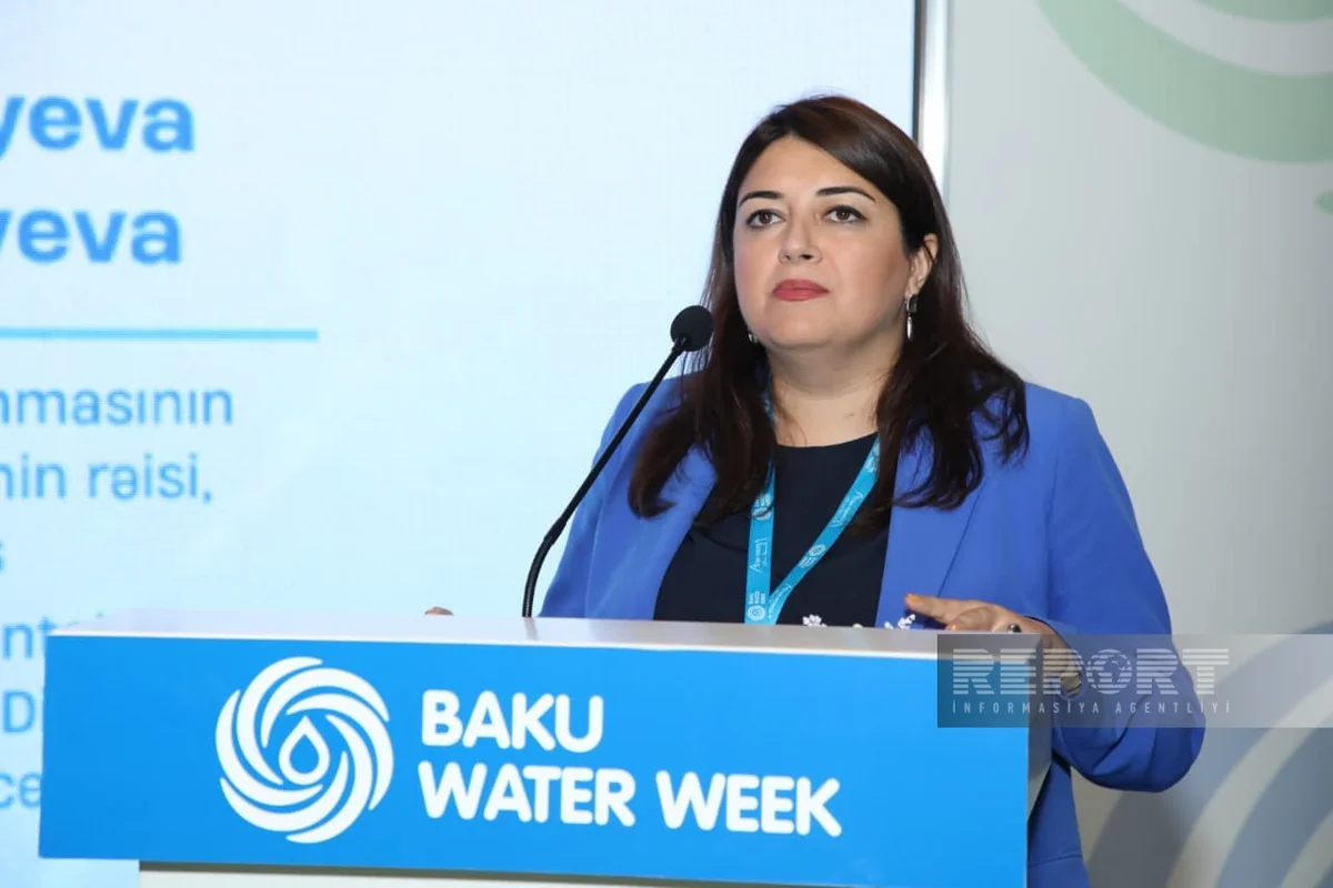 SOCAR: Xəzərin səviyyəsinin enməsi Azərbaycanda çirkab suların təmizlənməsinə ciddi təsir göstərir