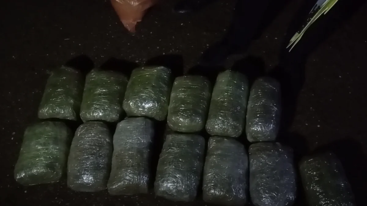 Bakıda narkokuryerlikdə şübhəli bilinən şəxslərdən 31 kiloqram narkotik aşkarlanıb