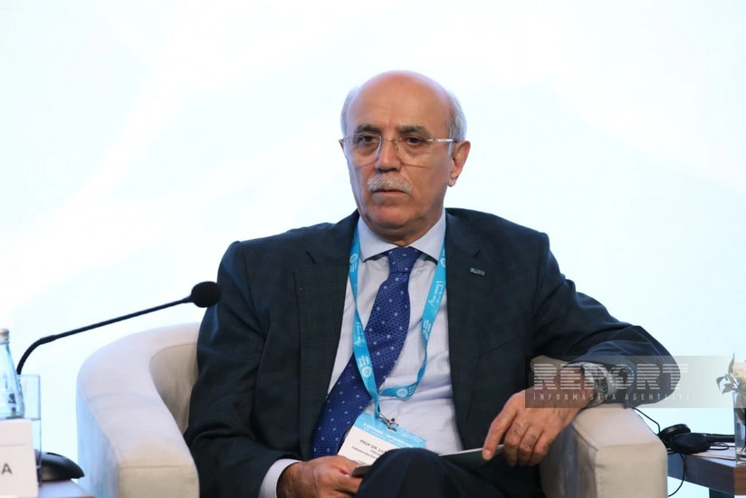 Professor: Türkiyə su resurslarının qorunmasında problemlərlə üzləşir