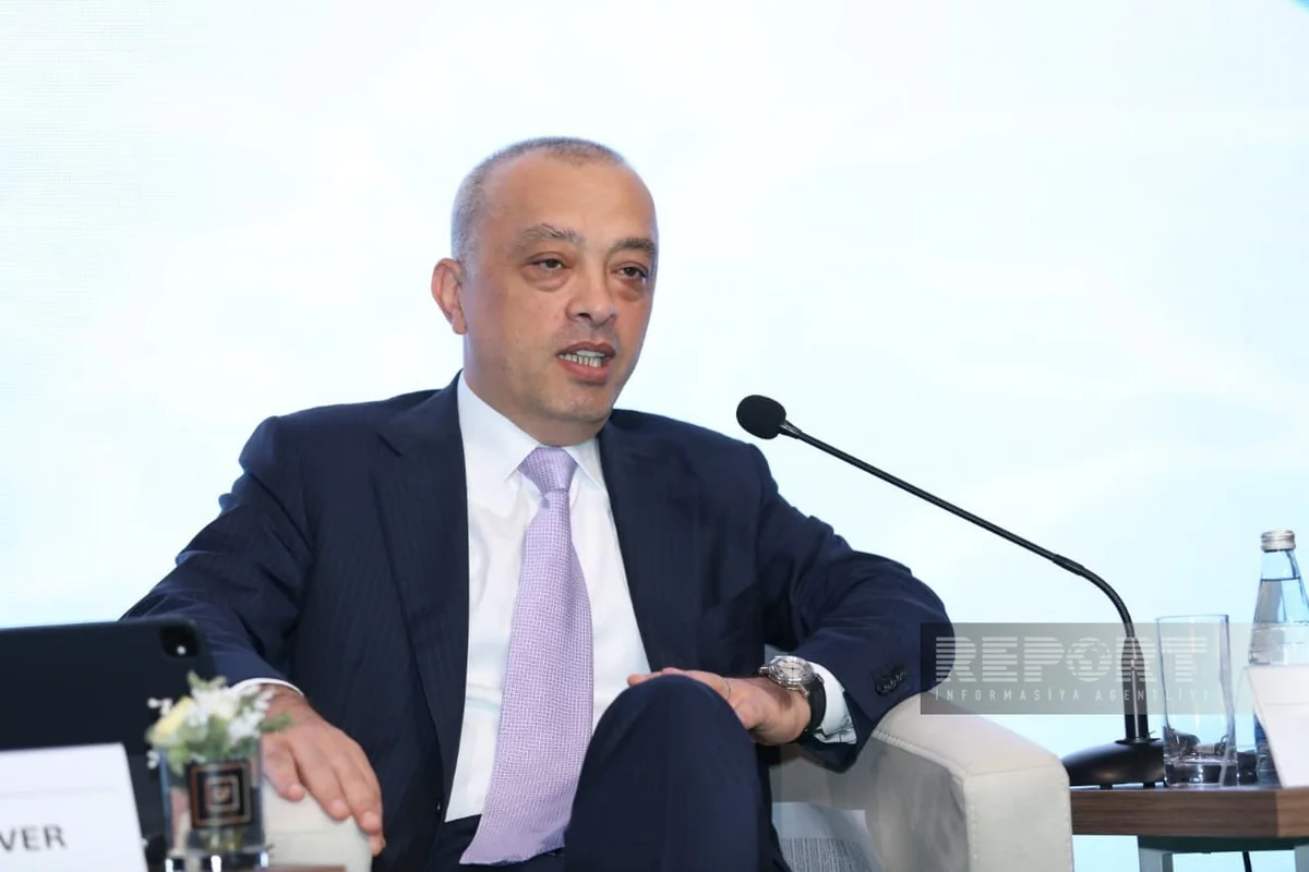 Zaur Mikayılov: Azərbaycan ekstensiv kənd təsərrüfatından intensiv modelə keçir