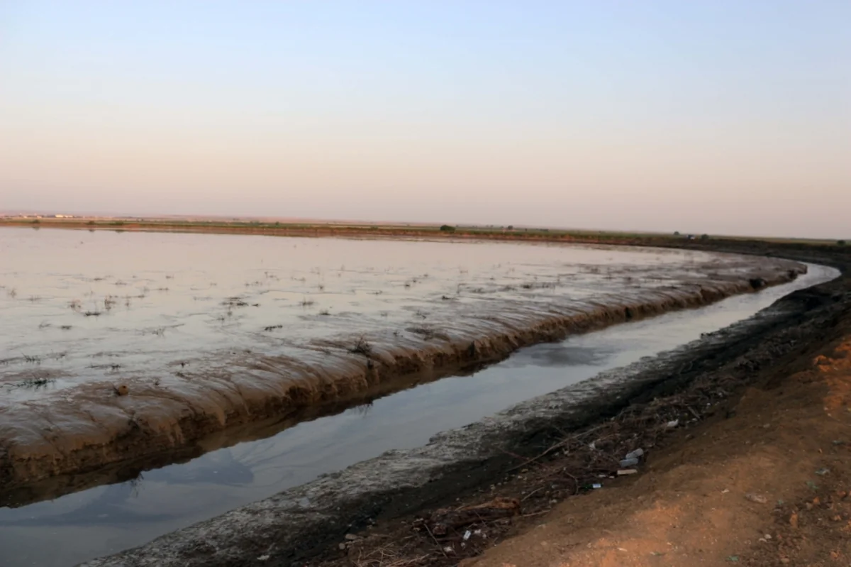 Bolqarçayda sel sularının maneəsiz axıdılması üçün məcratəmizləmə işləri aparılıb