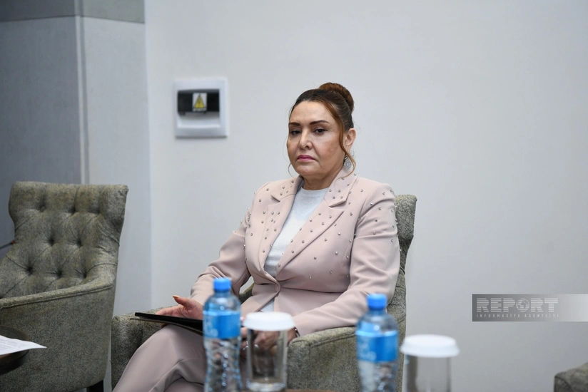 Səkinə Babayeva: İqlim dəyişikliyinin təsirlərini ən çox qadınlar hiss edir