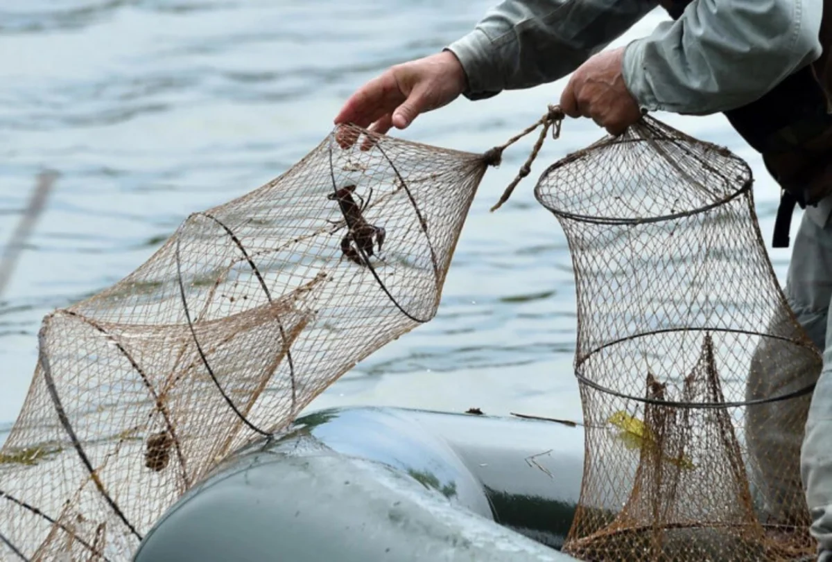 В Гарадаге пойманы рыбаки-безбилетники