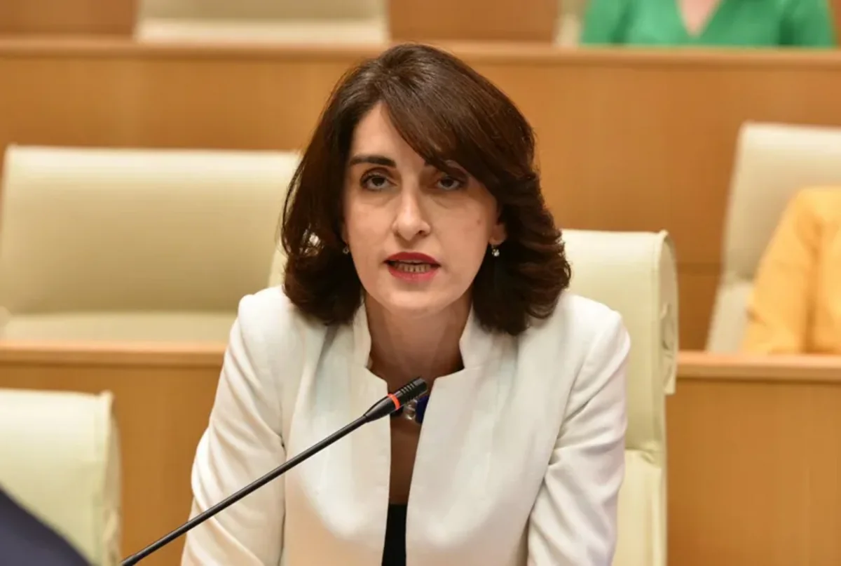 Boçorişvili: Avropa ölkələri və paytaxtları ilə dialoq son vaxtlar intensivləşib