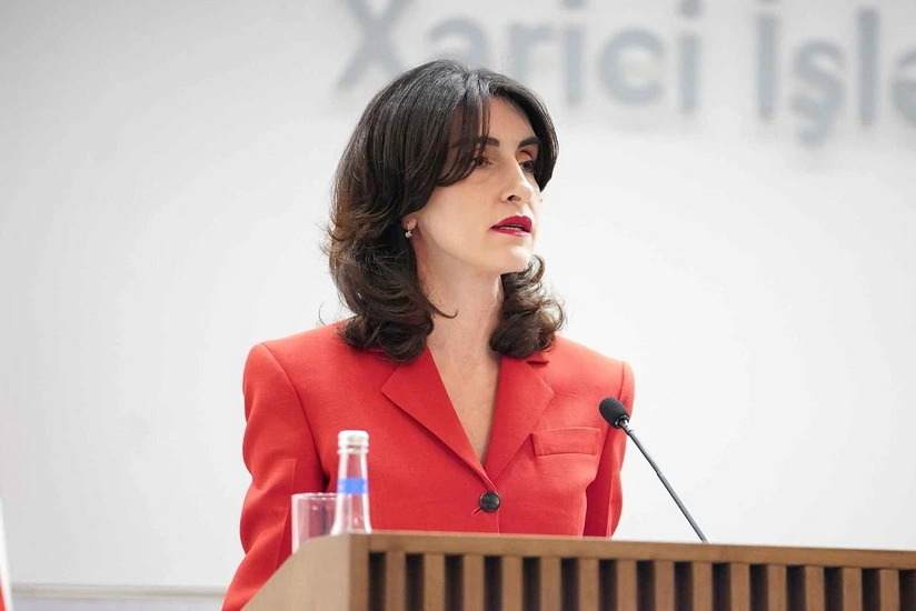 Gürcüstanın XİN rəhbəri: Ölkəmizə xarici müdaxilələr açıq şəkildə baş verir