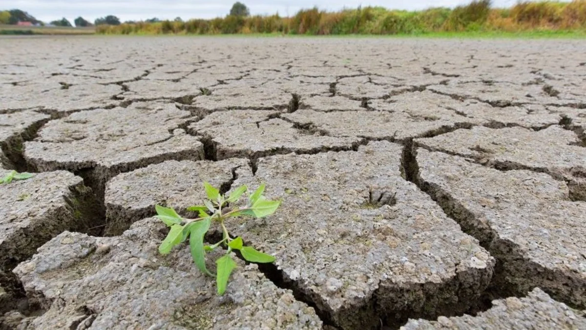 Drought proposed to be classified as natural disaster in Azerbaijan