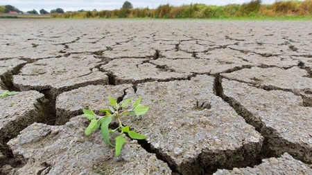 Drought proposed to be classified as natural disaster in Azerbaijan