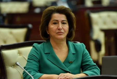 Violence against women rising worldwide, Azerbaijani lawmaker warns
