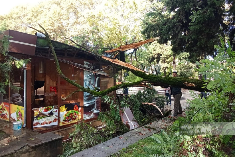 İsmayıllıda güclü külək ağacı kafenin üzərinə aşırıb