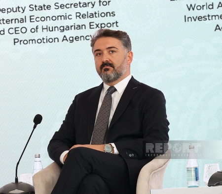 Azerbaijan well-positioned to attract foreign investment, says WAIPA head