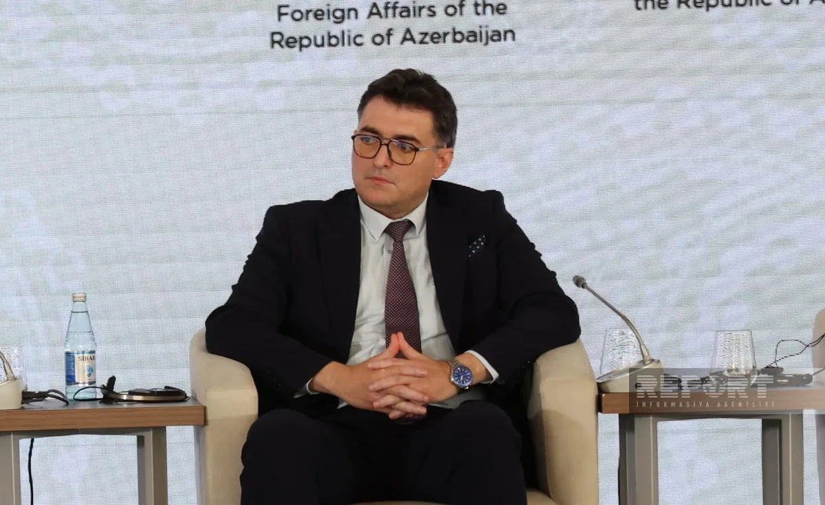 Qarabağ və Şərqi Zəngəzurda yaşıl enerji istehsalının həcmi 2030-cu ilə qədər 1,6 GVt-a çatacaq