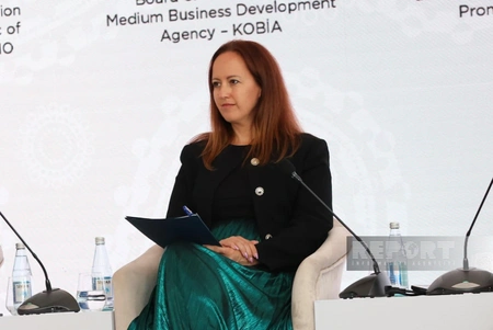 Katalin Bihari: Hungarian companies ready to invest in restoration of Karabakh