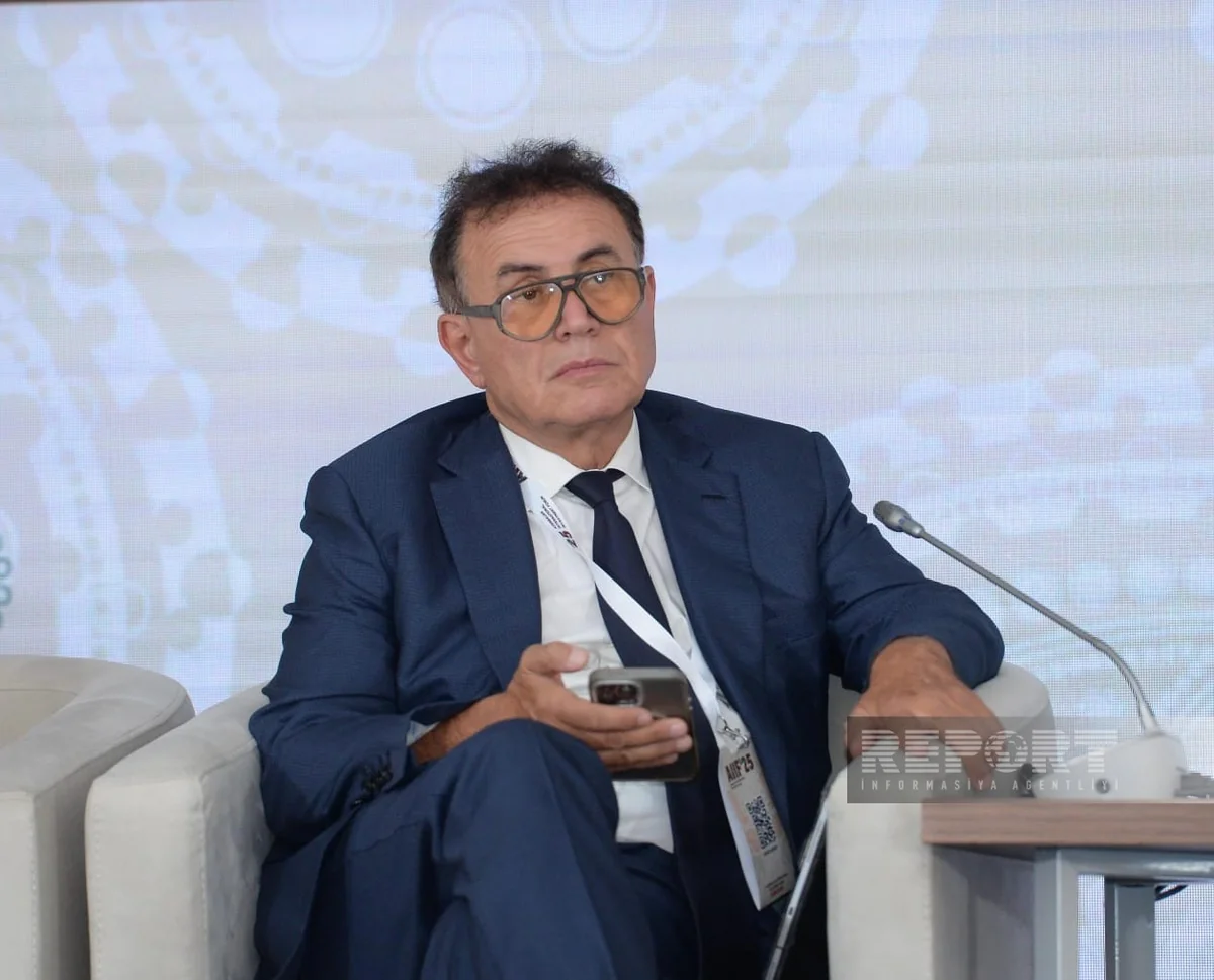 Roubini Macro CEO: Azerbaijan ready to attract direct investment in green technologies, fintech