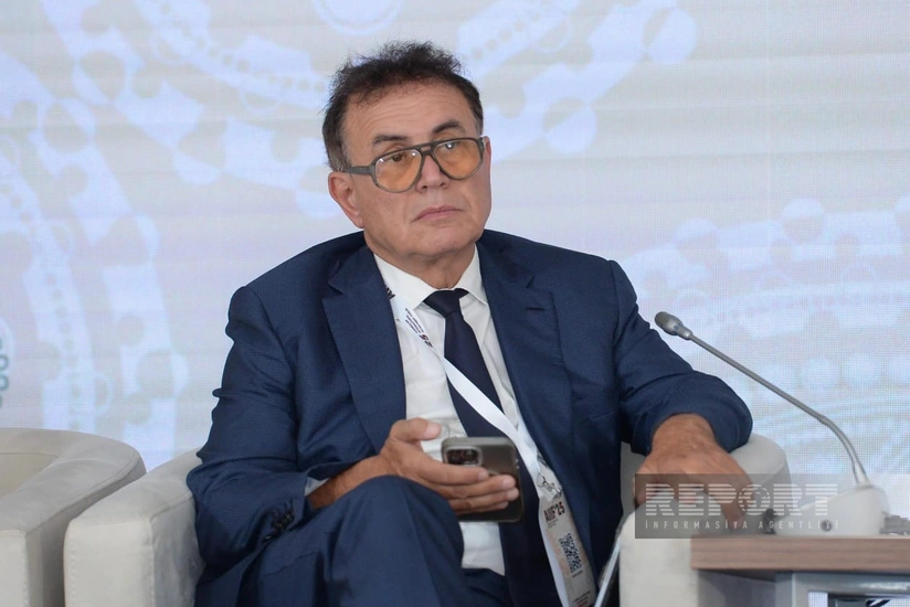 Roubini Macro: Azərbaycan yaşıl texnologiyalar və fintexə birbaşa investisiyalar cəlb etməyə hazırdır