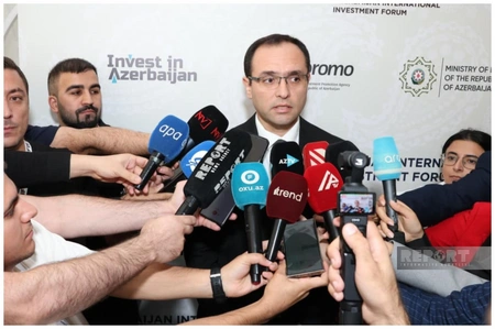 Məcnun Məmmədov kənd təsərrüfatı istehsalındakı azalmaya münasibət bildirib - EKSKLÜZİV