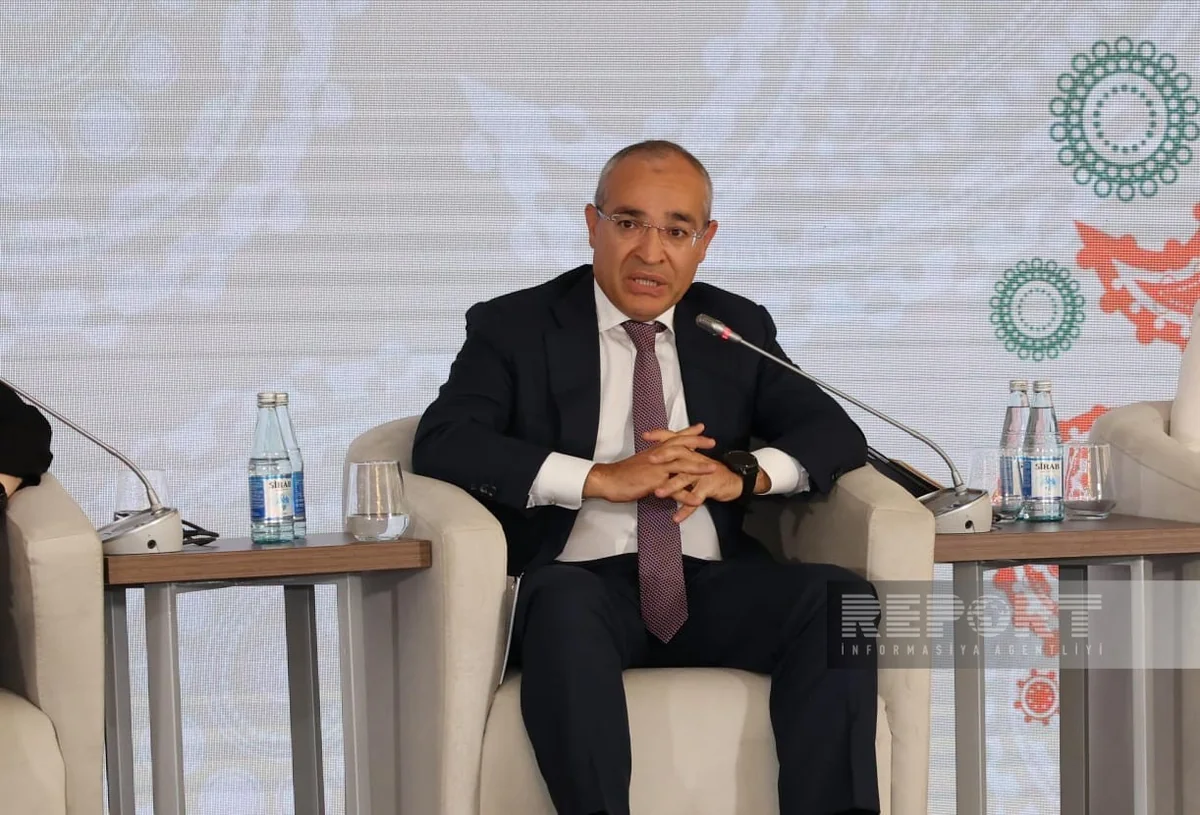 Mikayil Jabbarov: Azerbaijan is a hub in many sectors