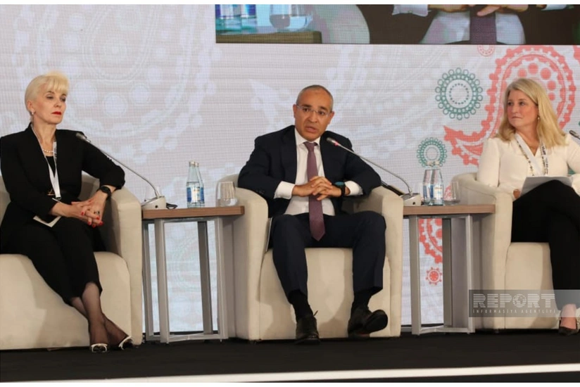 Nazir: Azərbaycanın Aİ ölkələri ilə bərpa olunan enerji sahəsində imkanları genişdir