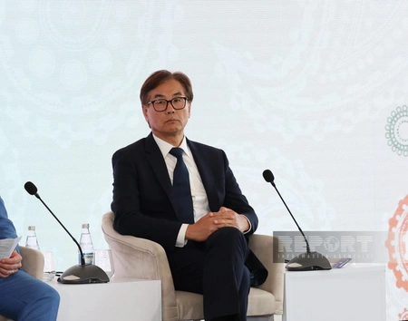 New global investment strategies needed for Azerbaijan, expert says