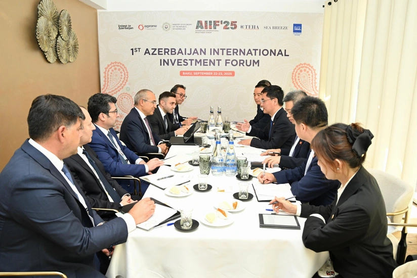 Çinin Datang Overseas Investment Co şirkətinin prezidenti ilə görüş keçirilib