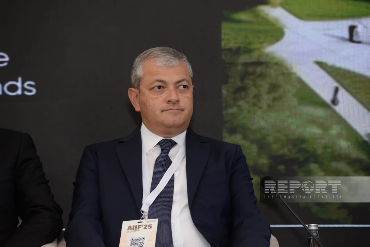 Special rep: Areas for real estate projects allocated in Shusha city master plan