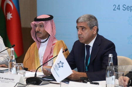 Minister: Azerbaijan maintains effective co-op with OIC in labor relations