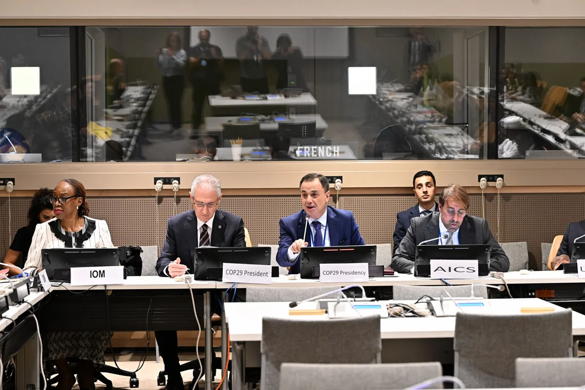 Azerbaijan to support African countries in climate diplomacy