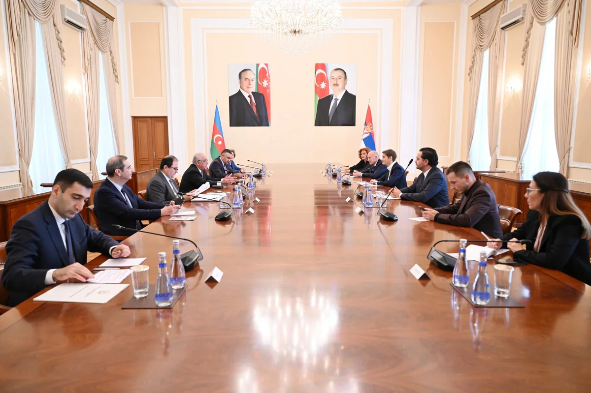 Əli Əsədov Serbiya Milli Assambleyasının sədri ilə görüşüb