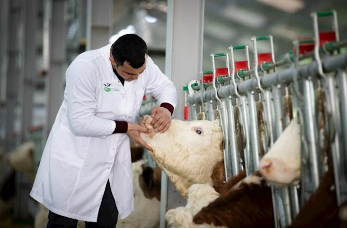 Азербайджан вводит обязательную маркировку мясной продукции