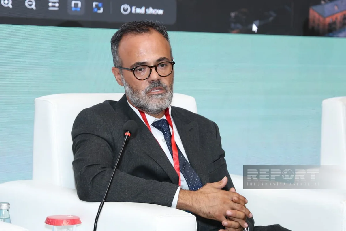 Engel Tastan: Azerbaijan's stable energy system creates favorable conditions for investors