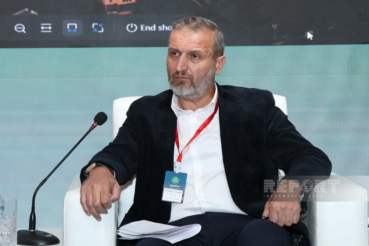 TotalEnergies: В Азербайджане по ВИЭ-проектам целесообразно применять единое окно