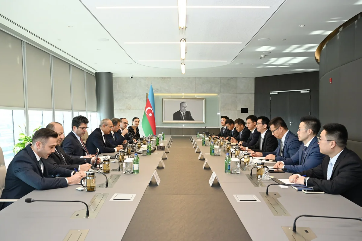 Azerbaijan discusses investment in renewable energy with Chinese company