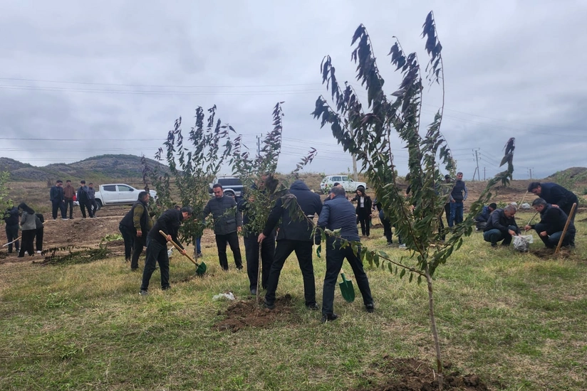 Xocalıda ağacəkmə aksiyası keçirilib