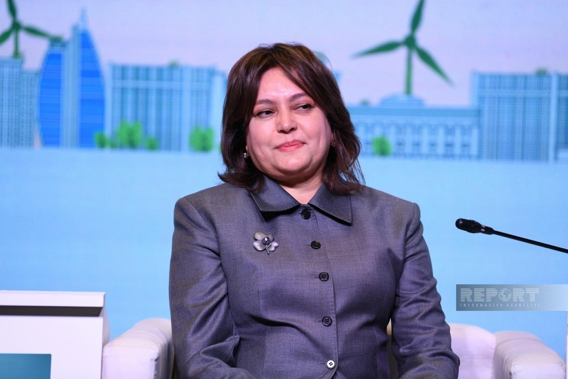 Umayra Tağıyeva: İqlim dəyişikliyinin mənfi təsirlərini gələcəkdə görəcəyik