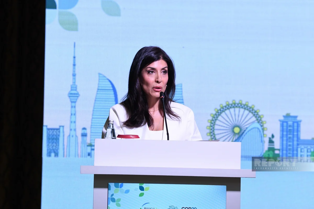 Nigar Arpadarai: İqlim öhdəlikləri bütün səviyyələrdə qanunla təsbit edilməlidir