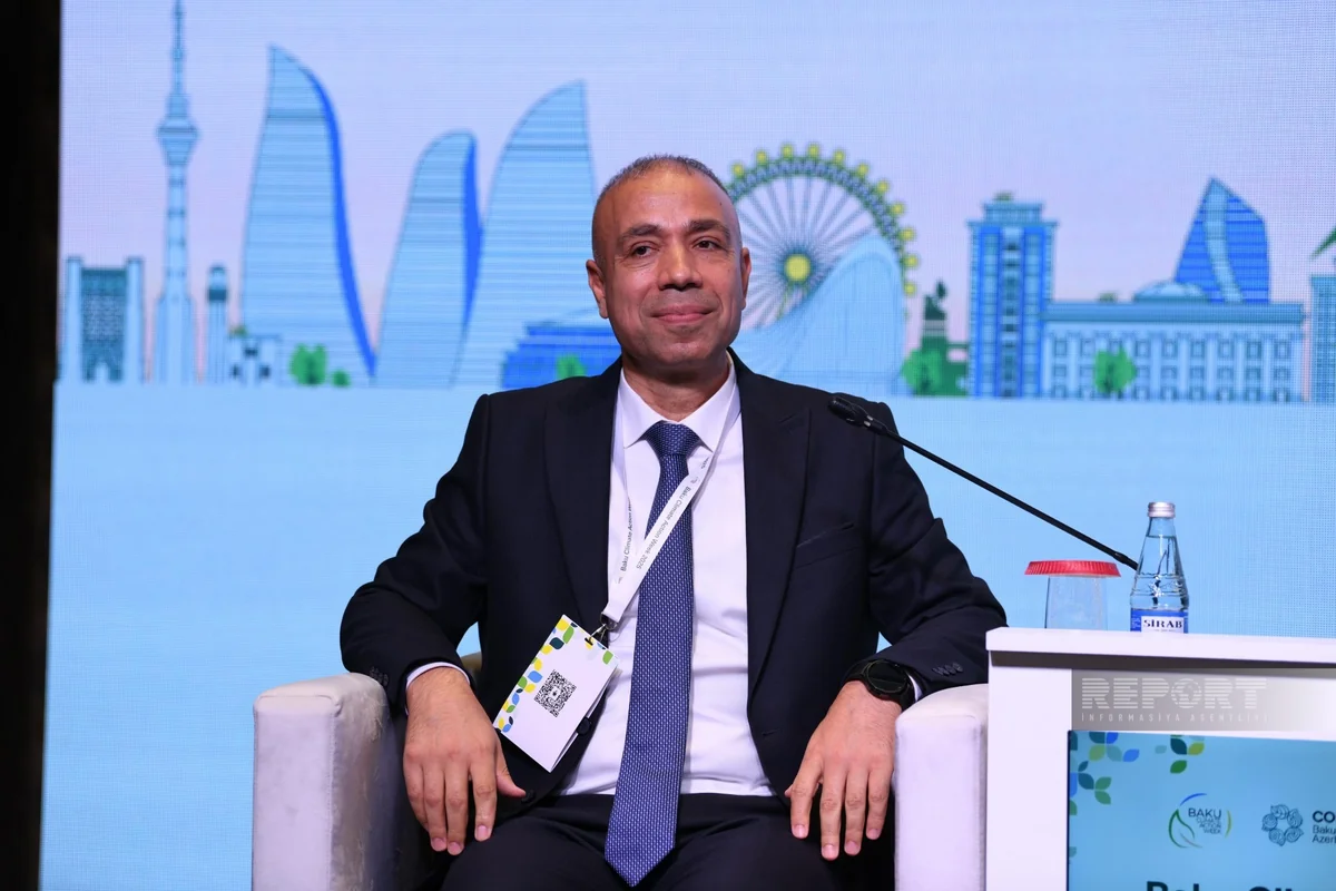 Elnur Soltanov: Green transition should coincide with national interests