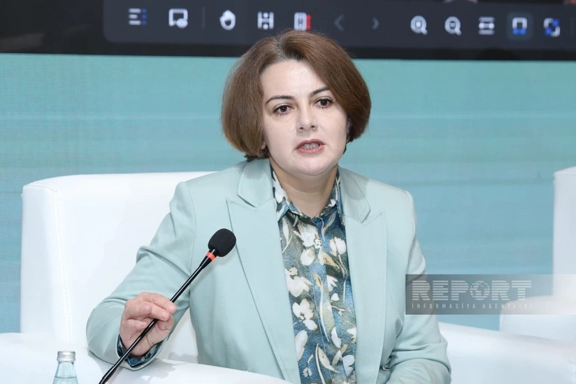 Rəna Hümbətova: Enerji sektorunda strategiyanın inkişaf etdirilməsi planlaşdırılır