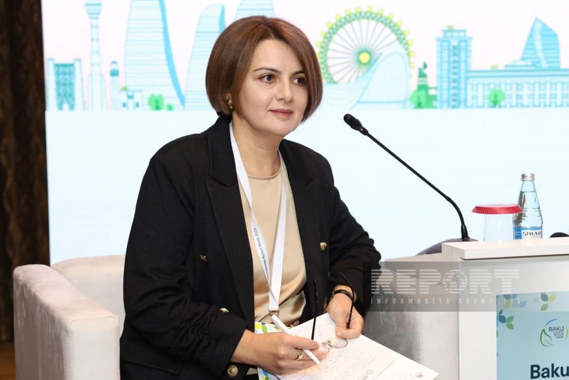 Рена Гумбатова: В Азербайджане можно применять решения на основе биогаза из сточных вод