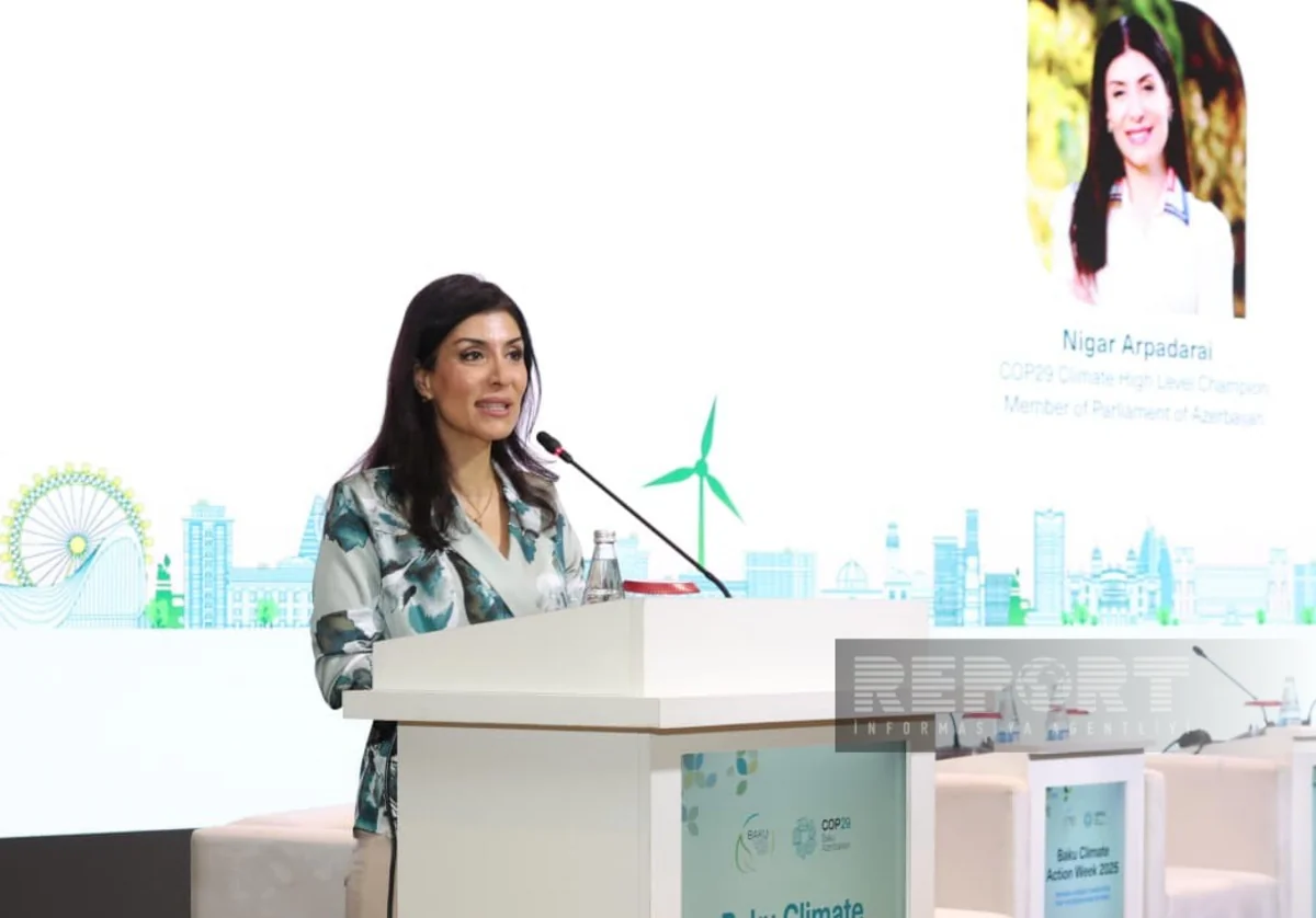 Nigar Arpadarai: Gənclərin enerjisi, ideyaları iqlim dəyişmələri ilə mübarizədə zəruridir